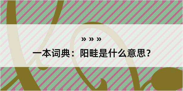 一本词典：阳畦是什么意思？