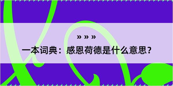 一本词典：感恩荷德是什么意思？