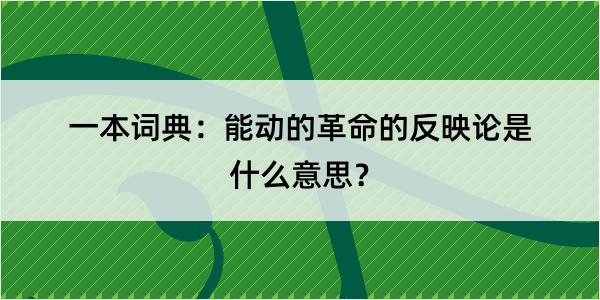 一本词典：能动的革命的反映论是什么意思？