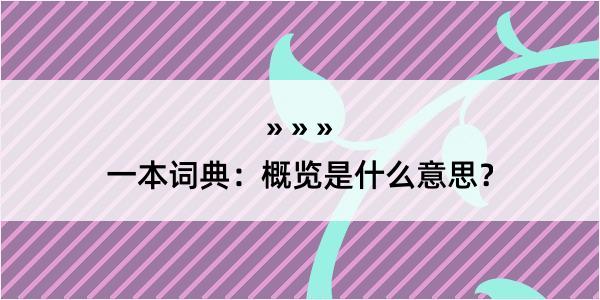 一本词典：概览是什么意思？