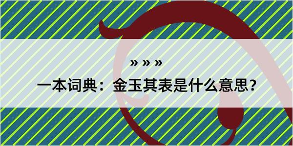 一本词典：金玉其表是什么意思？