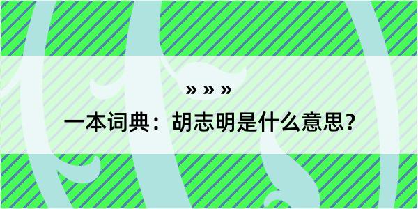 一本词典：胡志明是什么意思？