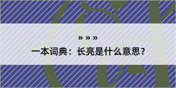 一本词典：长亮是什么意思？