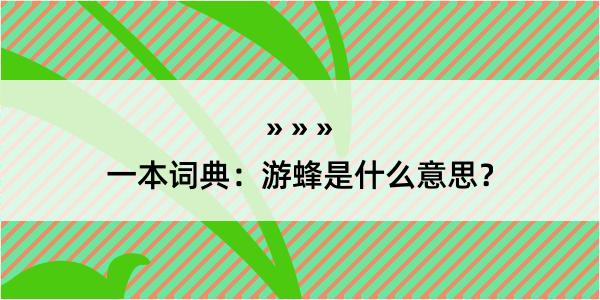 一本词典：游蜂是什么意思？