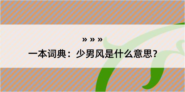 一本词典：少男风是什么意思？