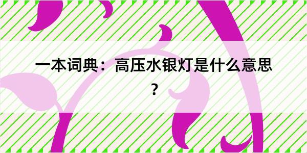 一本词典：高压水银灯是什么意思？