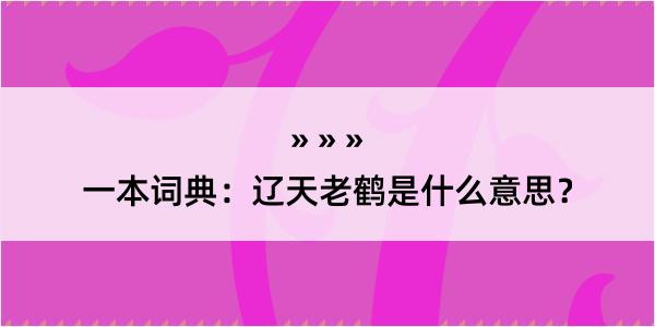 一本词典：辽天老鹤是什么意思？