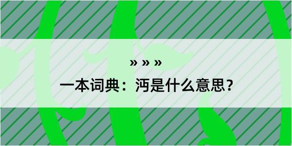 一本词典：沔是什么意思？