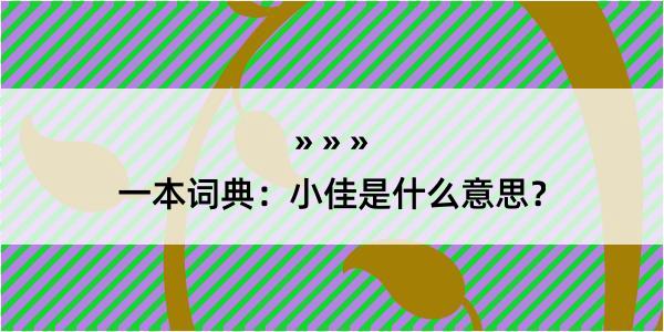 一本词典：小佳是什么意思？