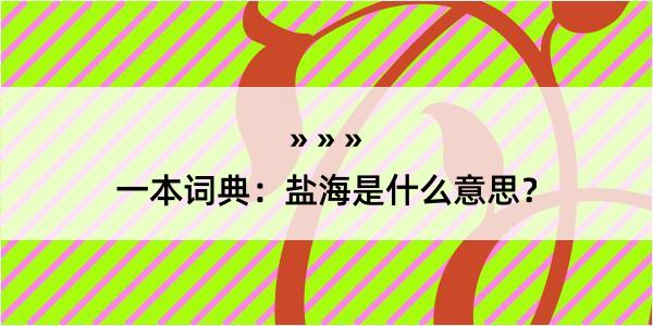 一本词典：盐海是什么意思？