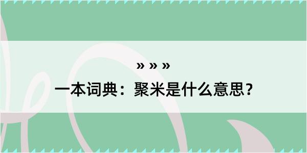 一本词典：聚米是什么意思？