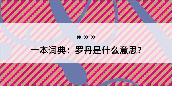 一本词典：罗丹是什么意思？