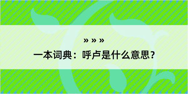 一本词典：呼卢是什么意思？