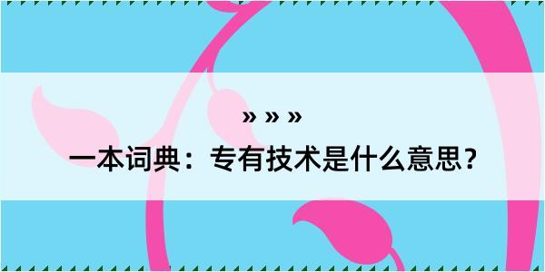 一本词典：专有技术是什么意思？