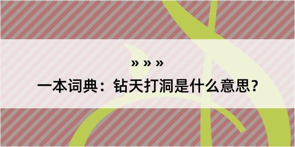 一本词典：钻天打洞是什么意思？