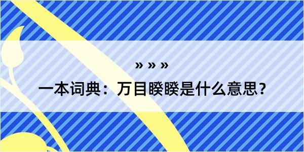 一本词典：万目睽睽是什么意思？