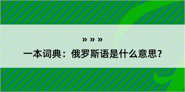 一本词典：俄罗斯语是什么意思？