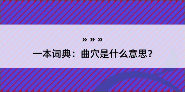 一本词典：曲穴是什么意思？