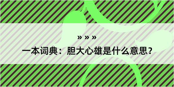 一本词典：胆大心雄是什么意思？