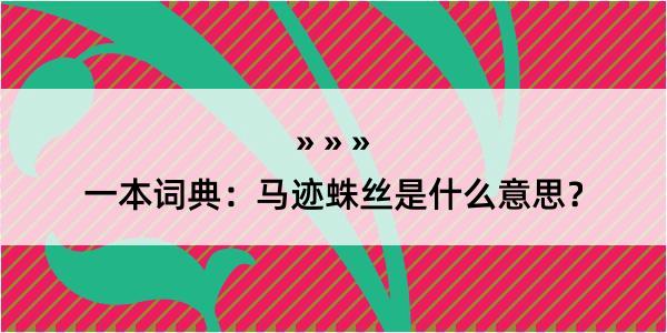 一本词典：马迹蛛丝是什么意思？