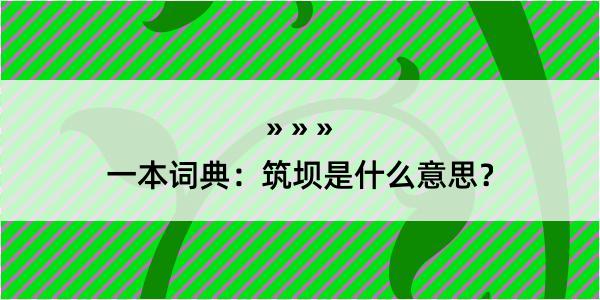 一本词典：筑坝是什么意思？