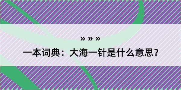 一本词典：大海一针是什么意思？