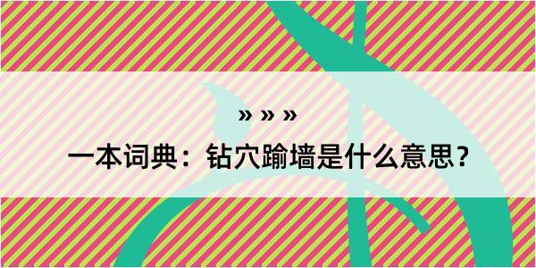 一本词典：钻穴踰墙是什么意思？