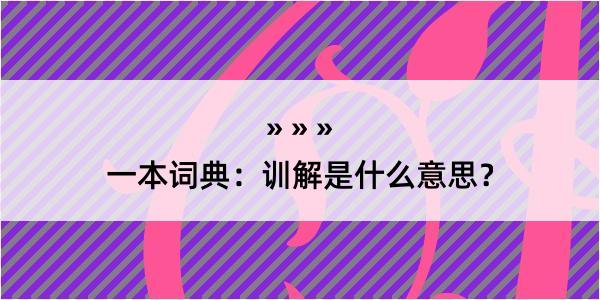 一本词典：训解是什么意思？