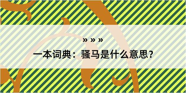 一本词典：骚马是什么意思？