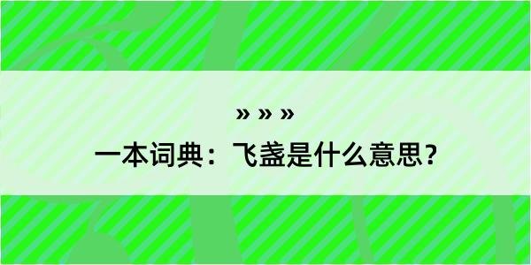 一本词典：飞盏是什么意思？