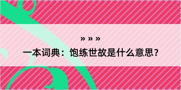 一本词典：饱练世故是什么意思？