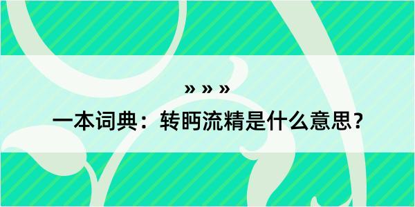 一本词典：转眄流精是什么意思？