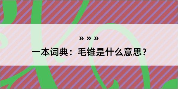 一本词典：毛锥是什么意思？