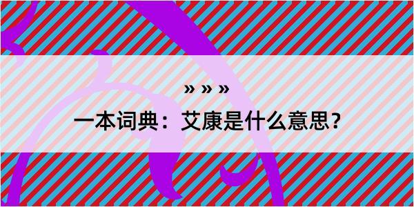 一本词典：艾康是什么意思？