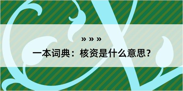 一本词典：核资是什么意思？