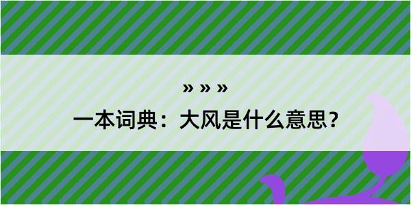 一本词典：大风是什么意思？