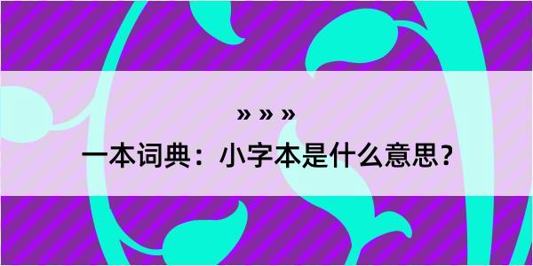 一本词典：小字本是什么意思？