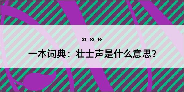 一本词典：壮士声是什么意思？