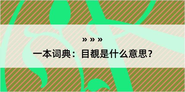 一本词典：目覩是什么意思？