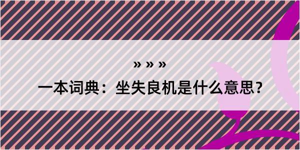 一本词典：坐失良机是什么意思？