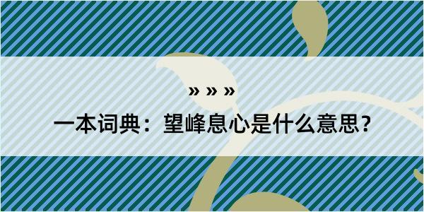 一本词典：望峰息心是什么意思？