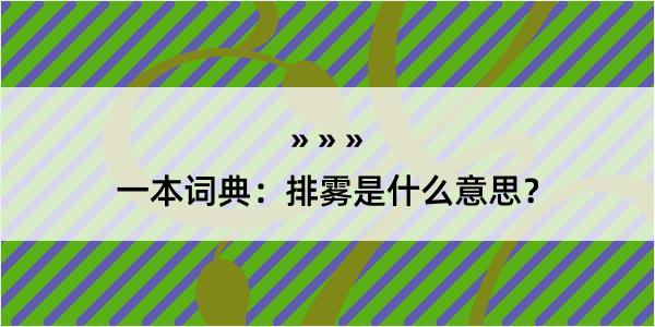 一本词典：排雾是什么意思？