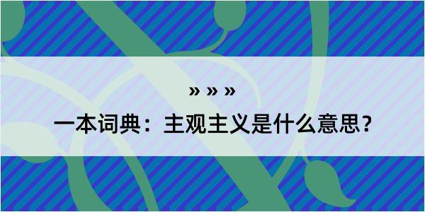 一本词典：主观主义是什么意思？