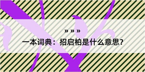 一本词典：招启柏是什么意思？