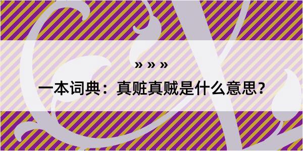 一本词典：真赃真贼是什么意思？