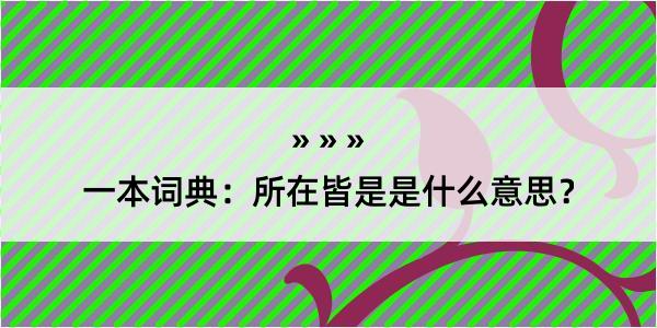 一本词典：所在皆是是什么意思？