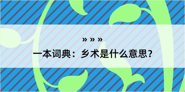 一本词典：乡术是什么意思？