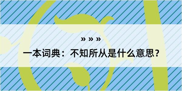 一本词典：不知所从是什么意思？