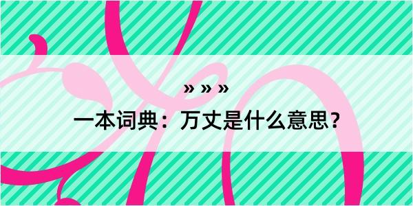 一本词典：万丈是什么意思？