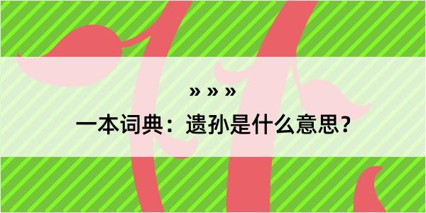 一本词典：遗孙是什么意思？